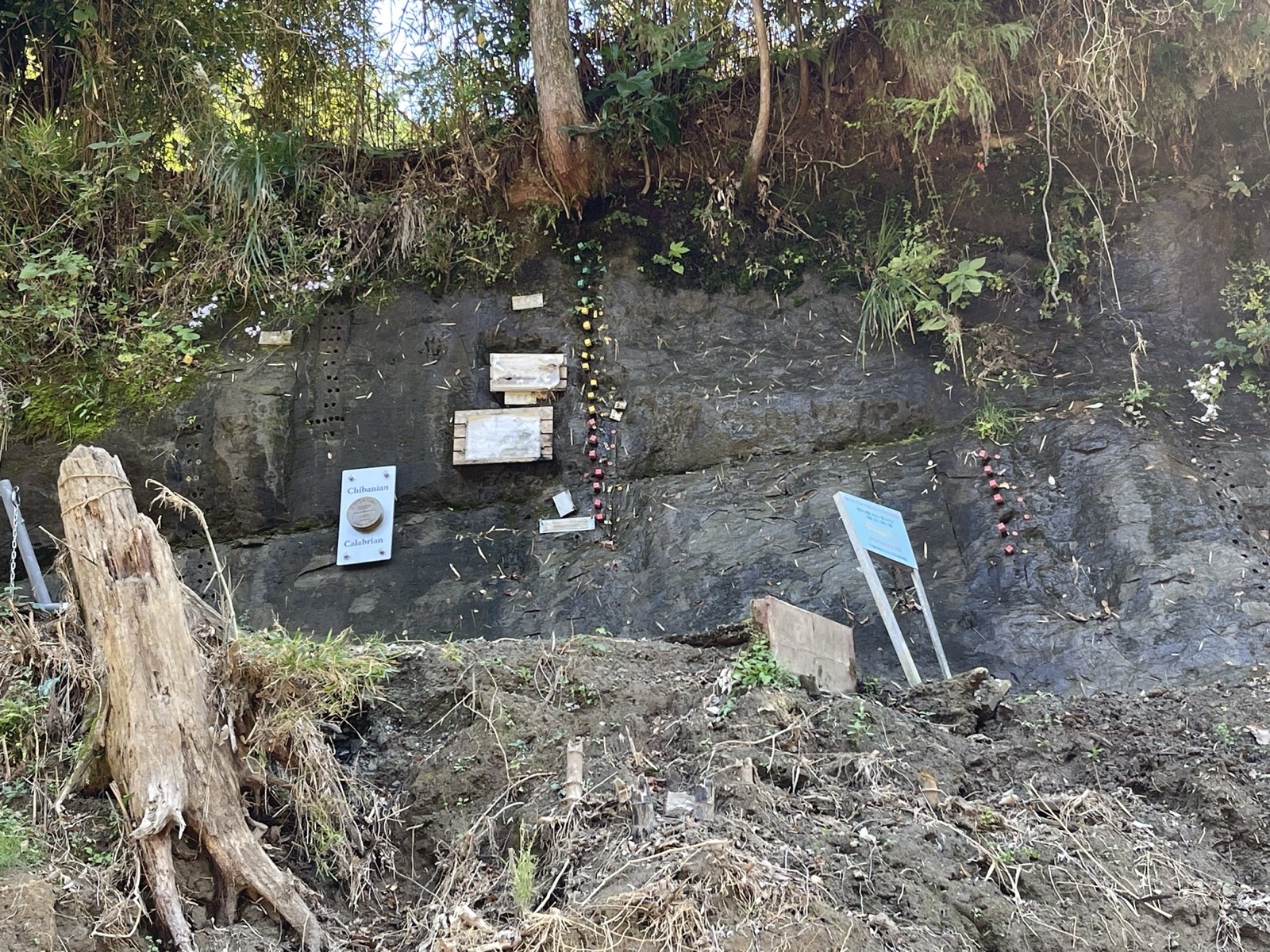 チバニアンの地層露頭