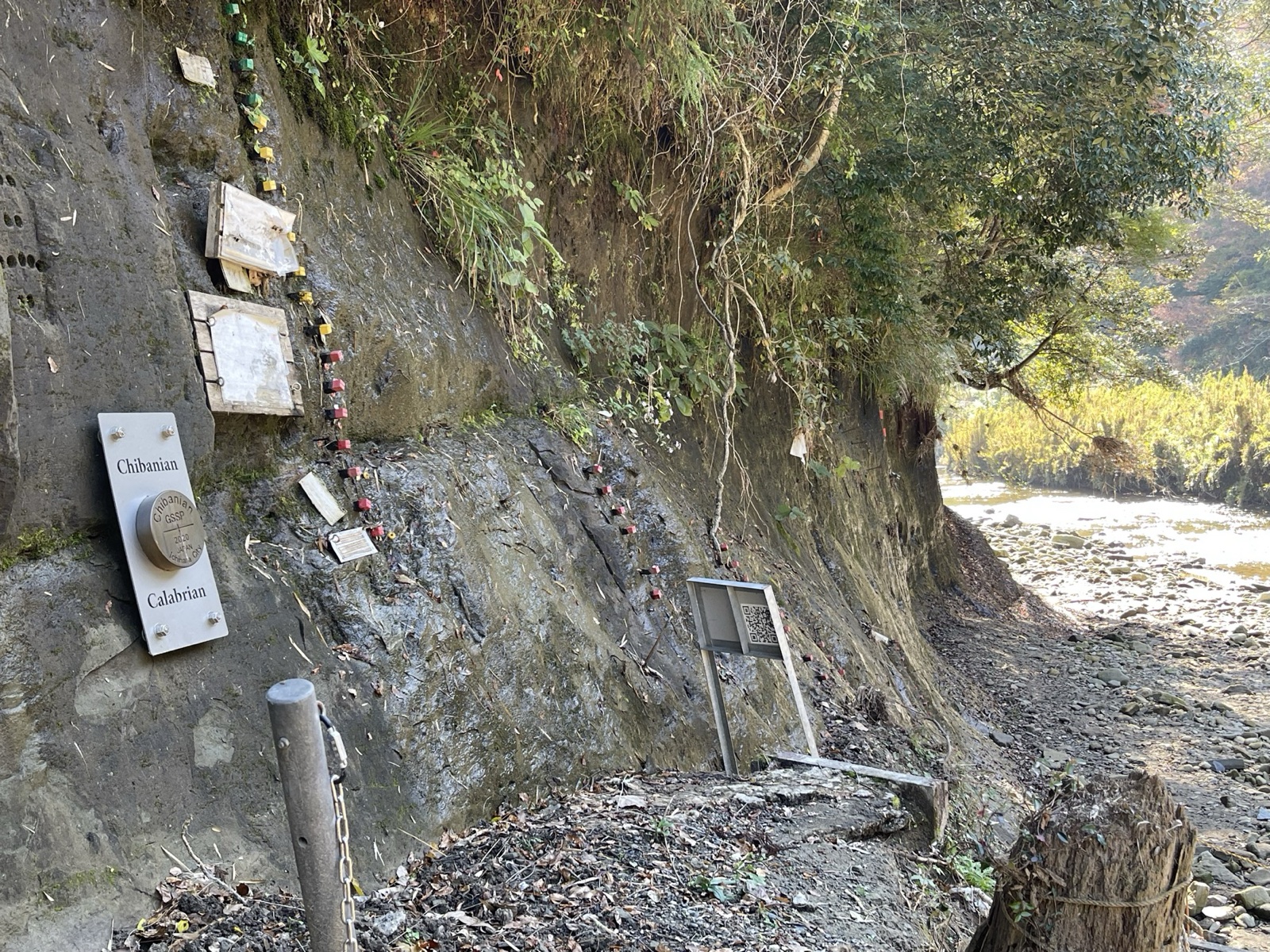 チバニアンとカラブリアンの境界ラベル