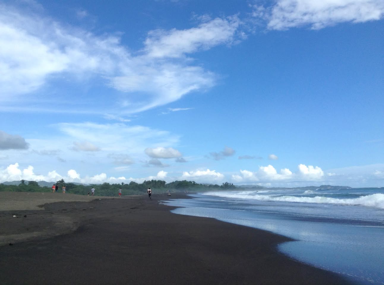 アリバダを見にオスティオナルへ｜ヒメウミガメ集団産卵に間に合わなかった話