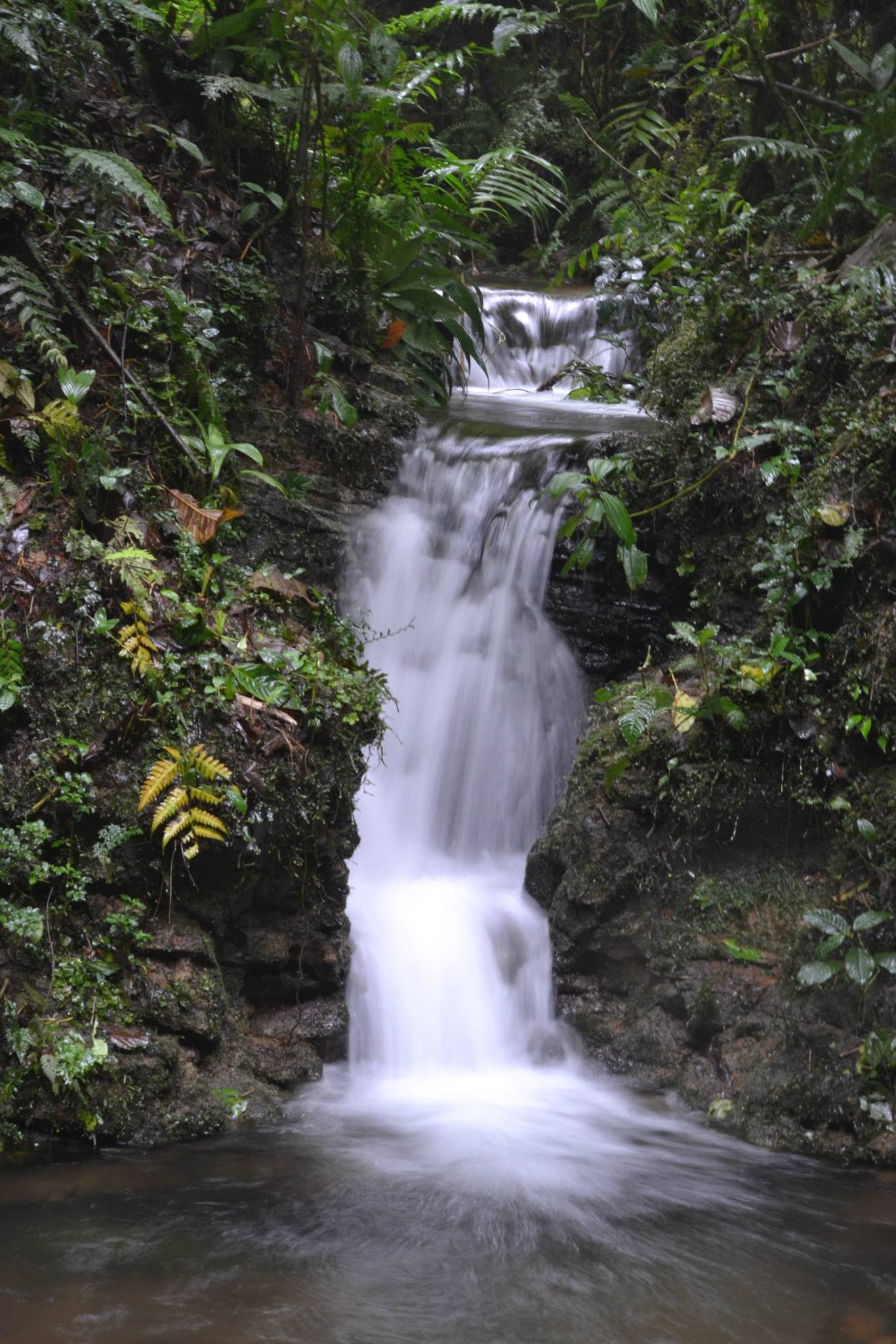 モンテベルデの滝