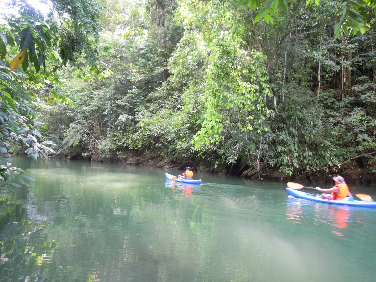 Paseo en kayak por el río