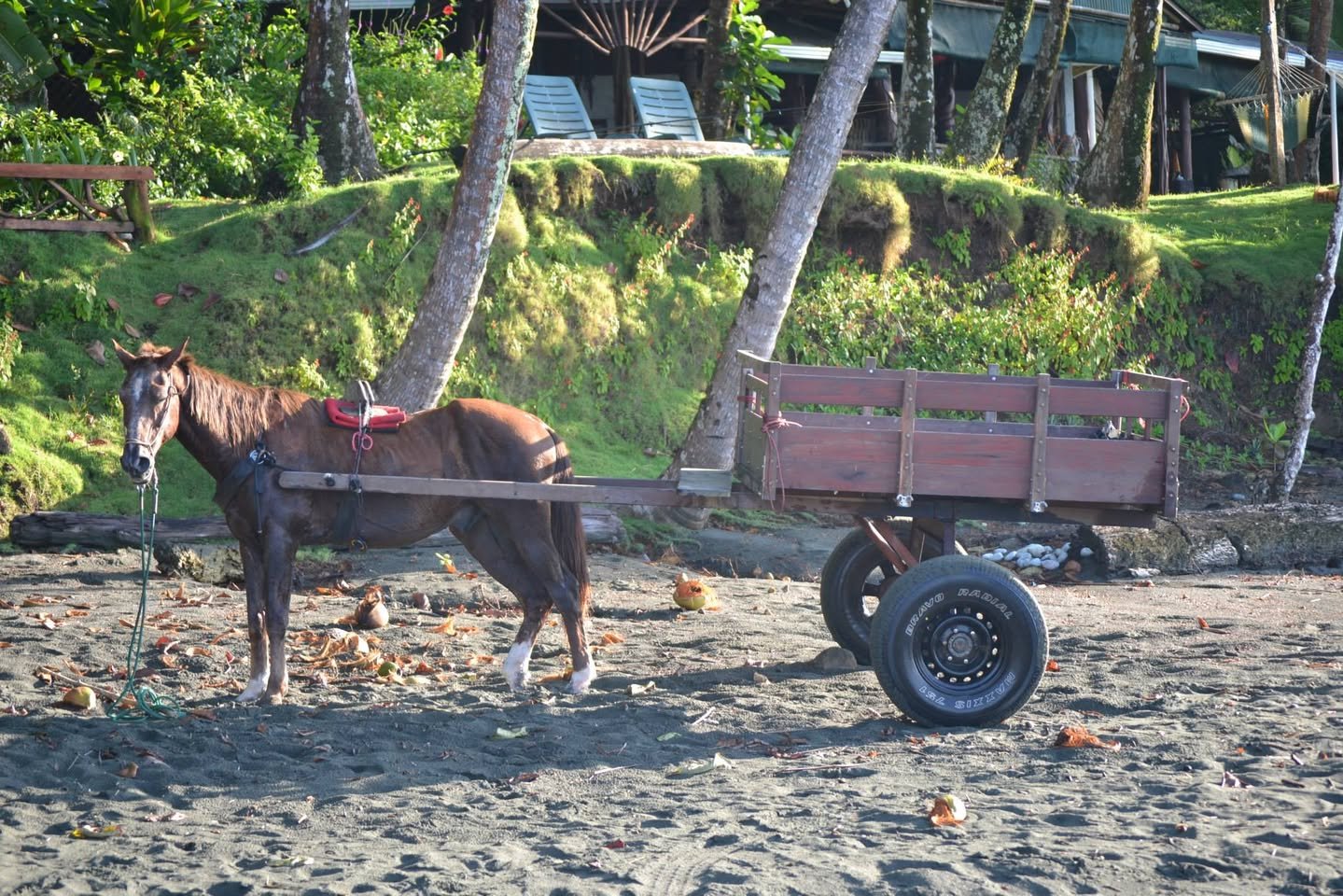 Un caballo tirando de una carreta