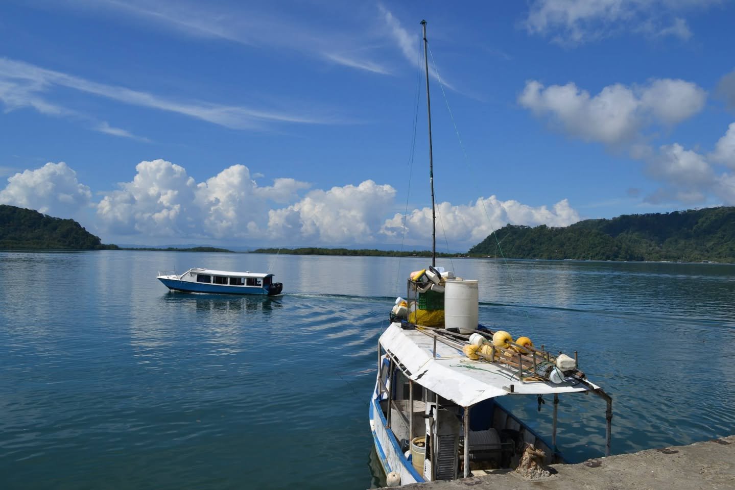 El puerto de Puerto Jiménez