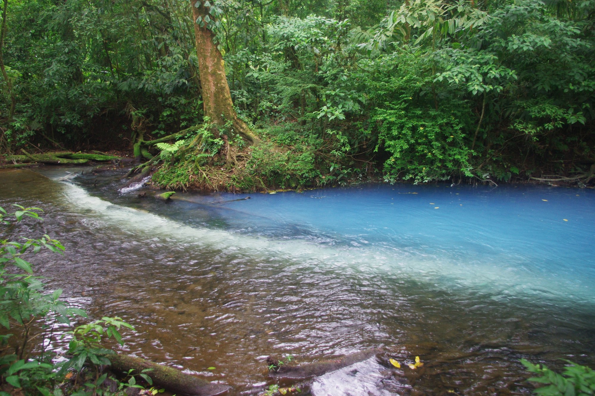 El Teñidero, the point where clear rivers merge and turn blue