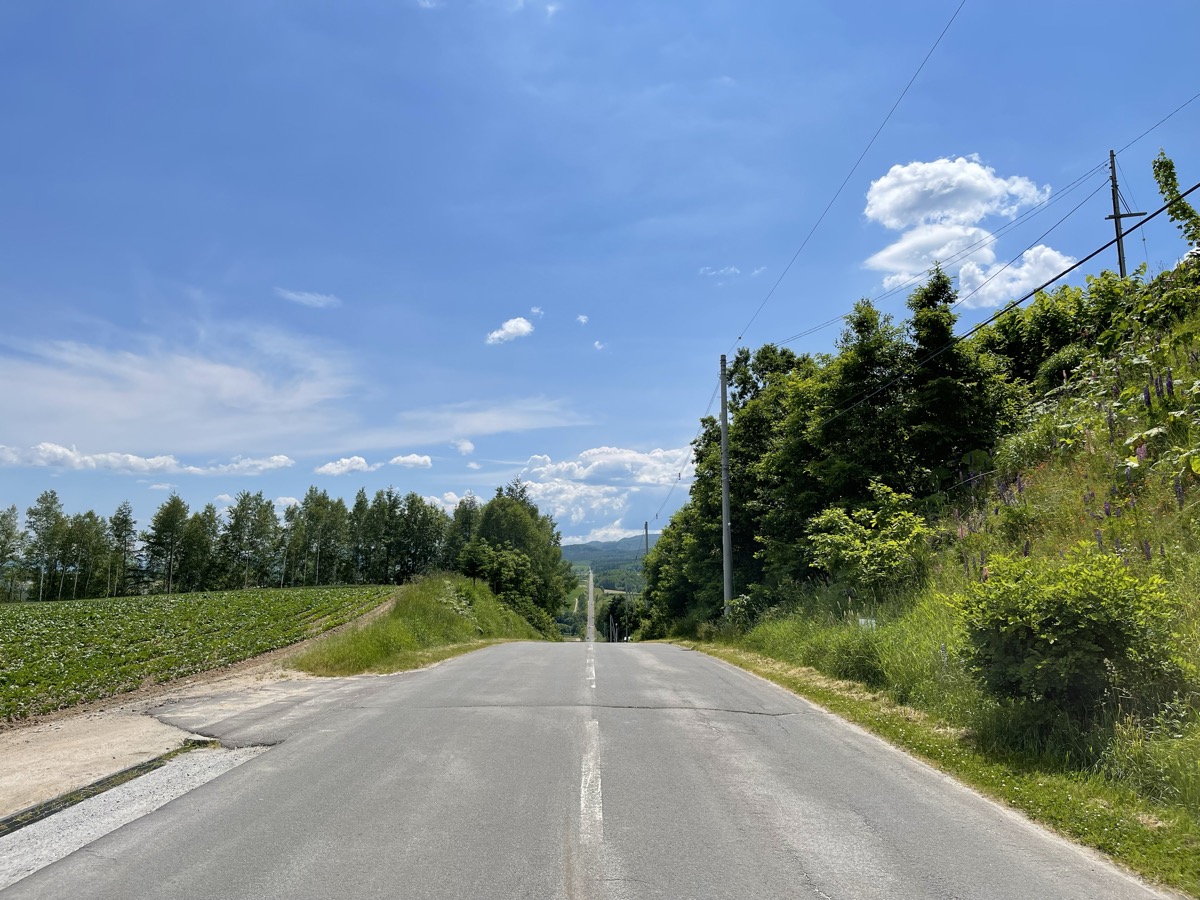 美瑛 パッチワークの路