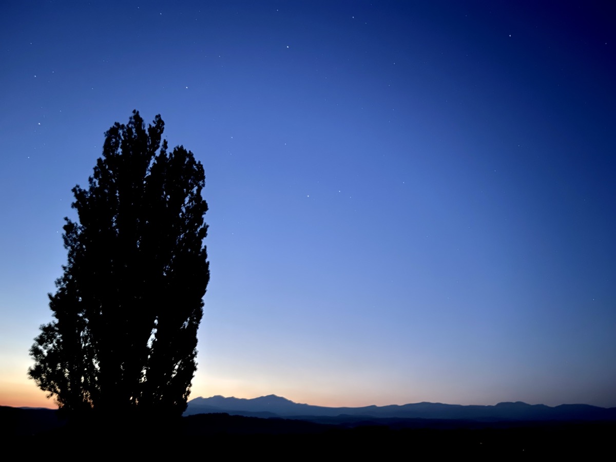ケンとメリーの木 星空