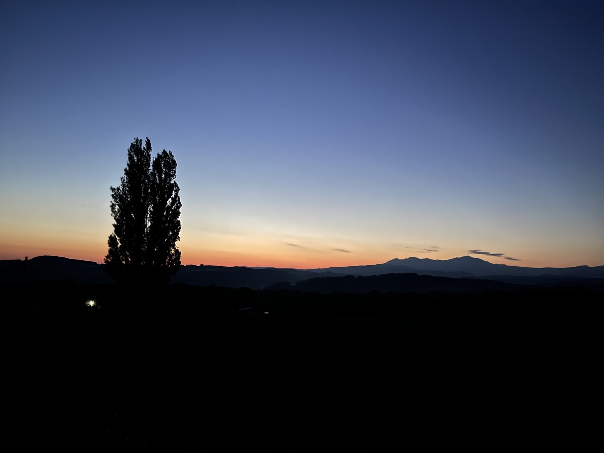 ケンとメリーの木 夕焼け