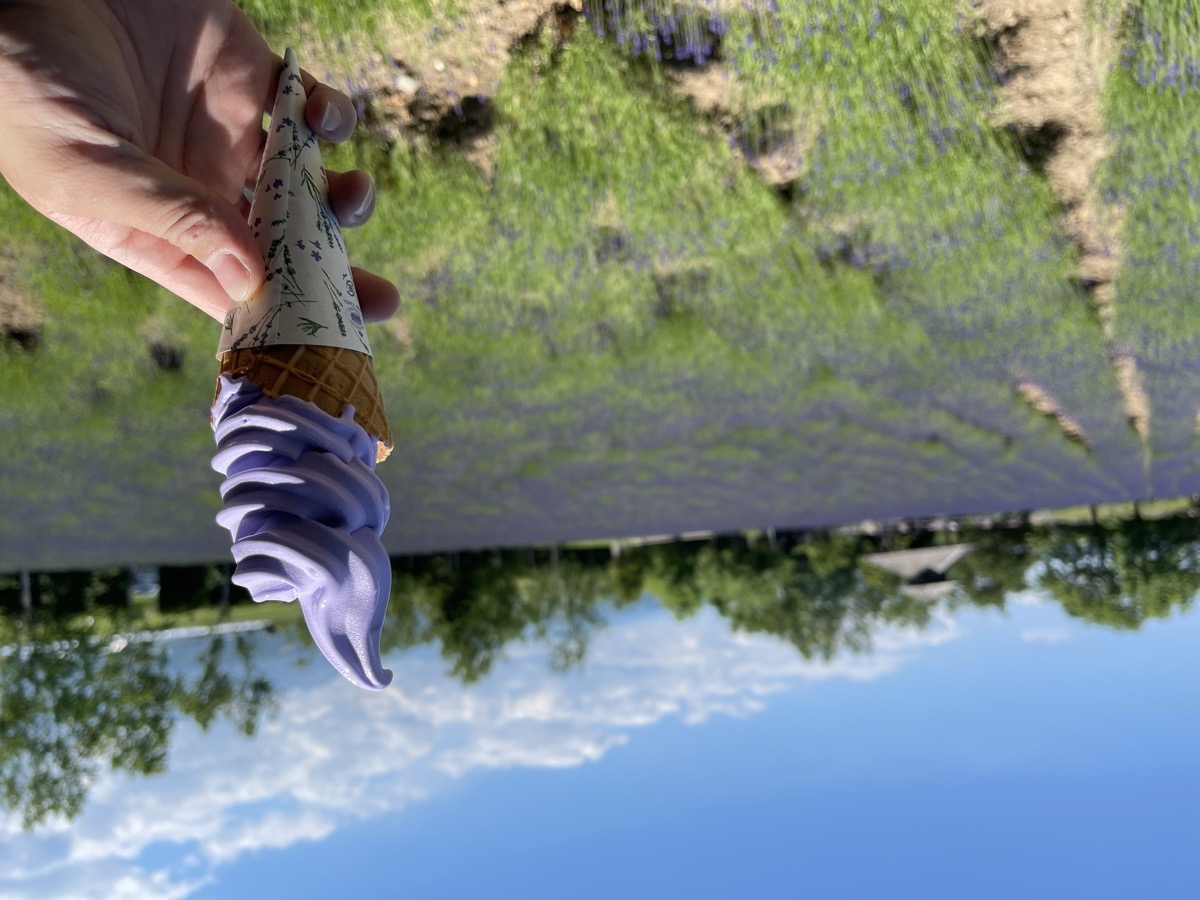 ラベンダーソフトクリーム