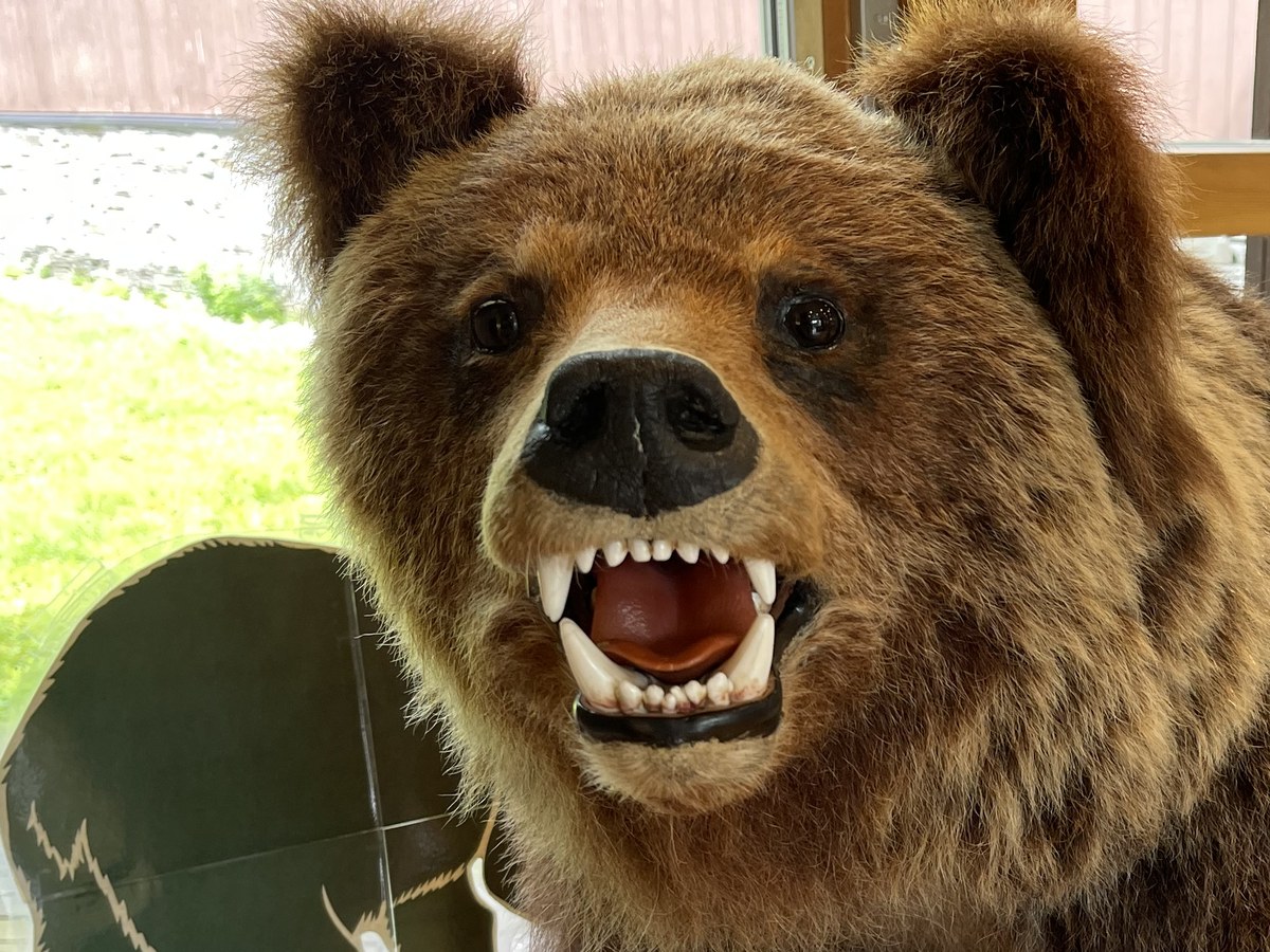 知床ツーリングで実感した熊撃退スプレーの必要性｜UDAP 12HP