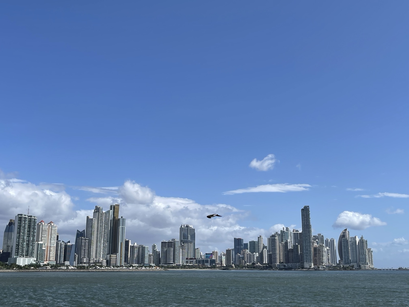 パナマシティのスカイライン