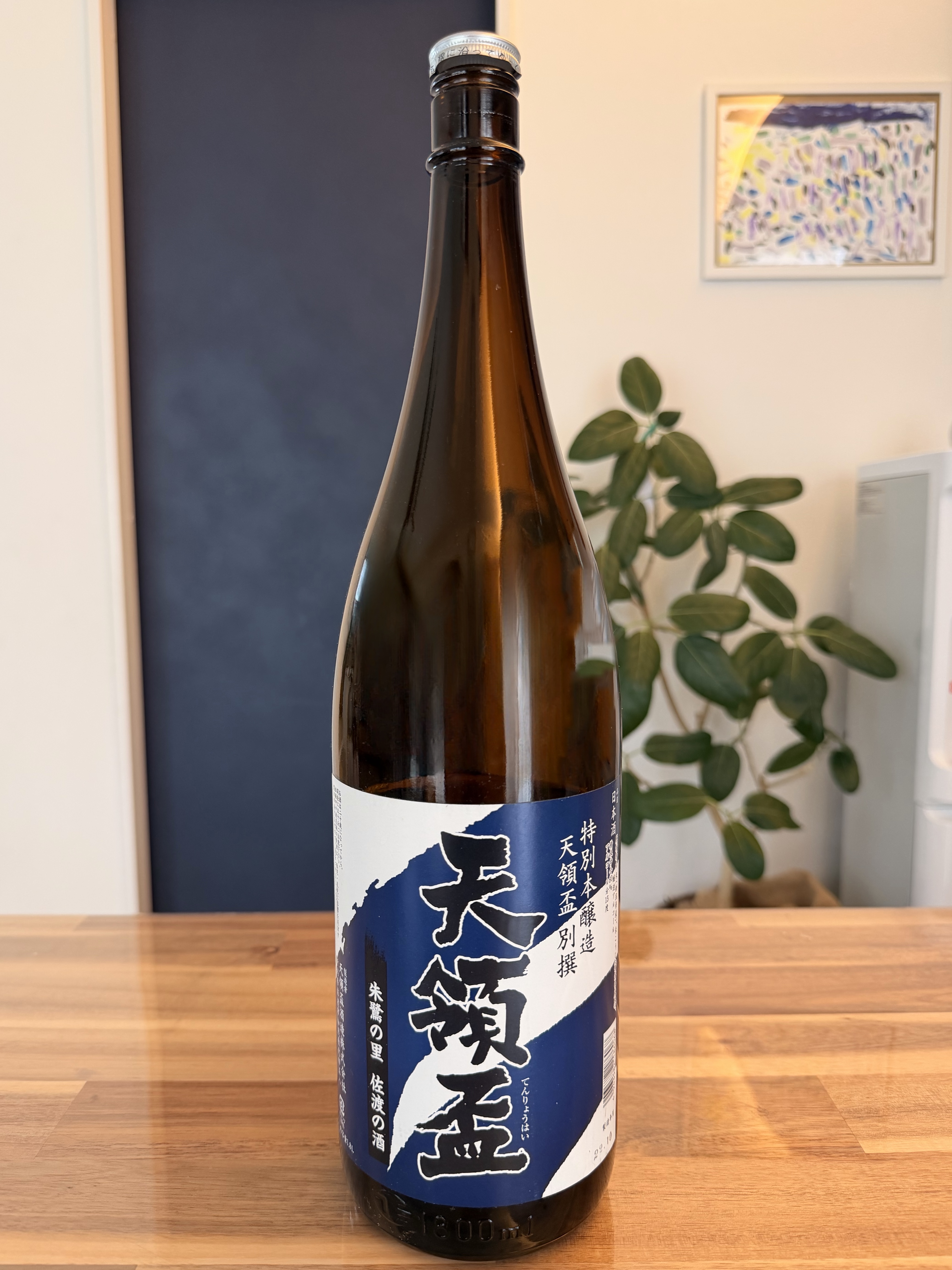 天領盃 特別本醸造